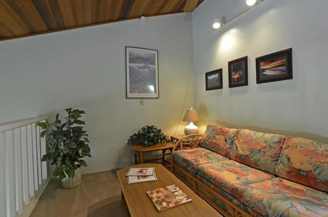 Holiday home Hale Kamaole 262 Villa Wailea