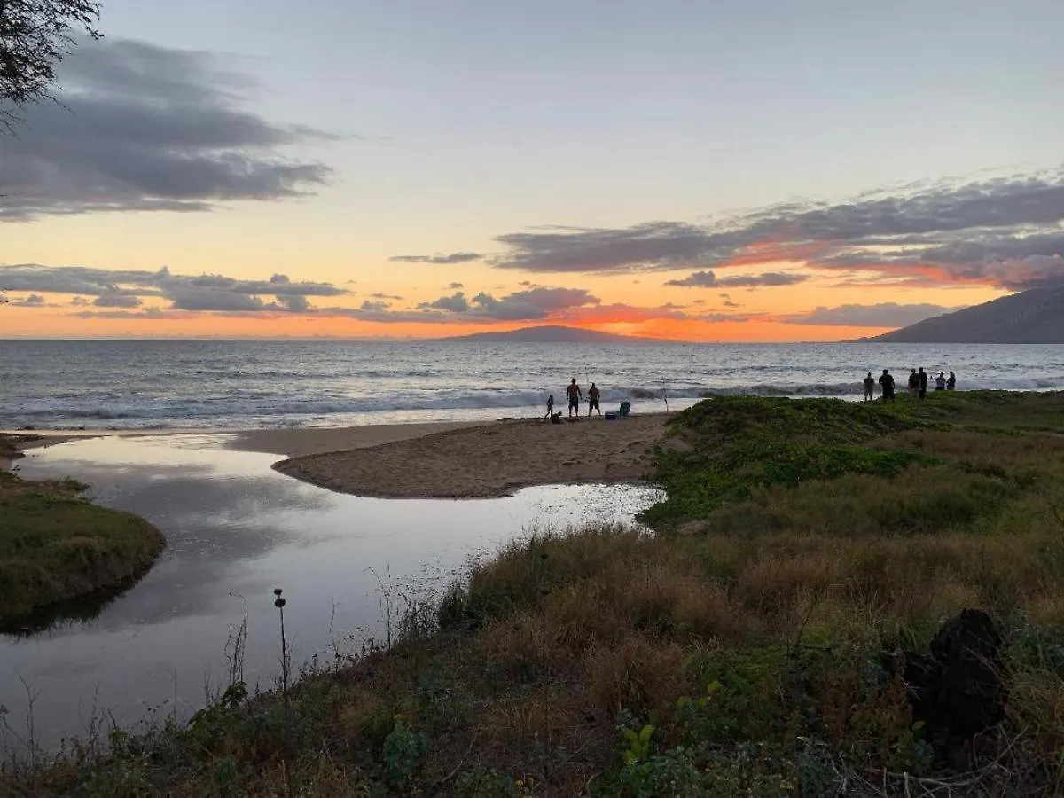 Holiday home Hale Kamaole 262 Villa Wailea
